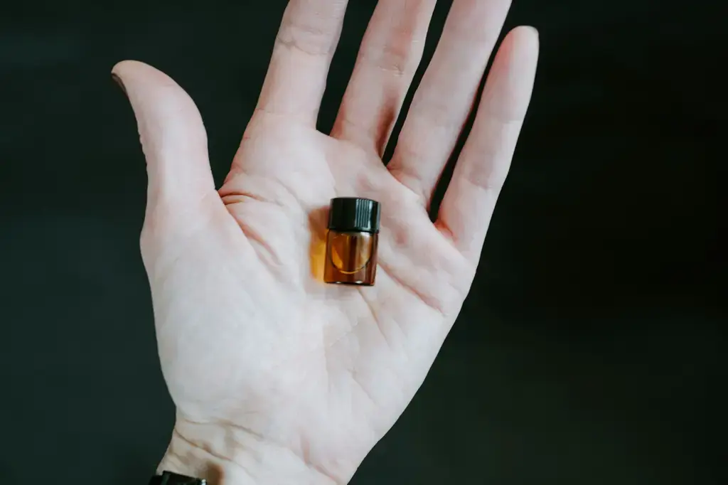 香氣繚繞的白蘭花香水：台灣用語的典雅邂逅