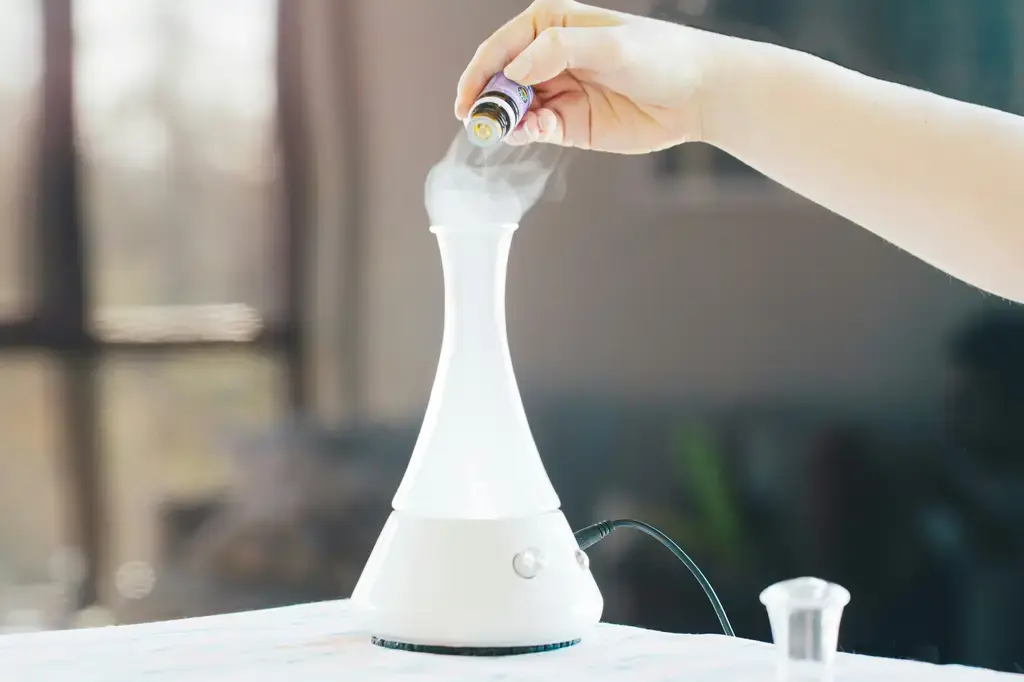 香奈兒香水推薦指南：寵愛你的感官，盡顯優雅魅力